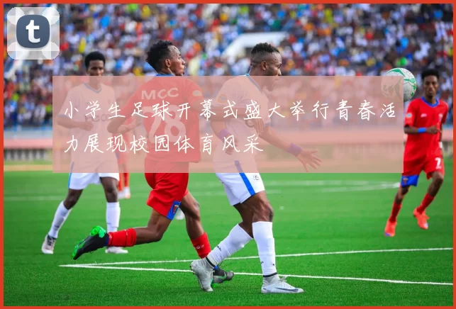 小学生足球开幕式盛大举行青春活力展现校园体育风采