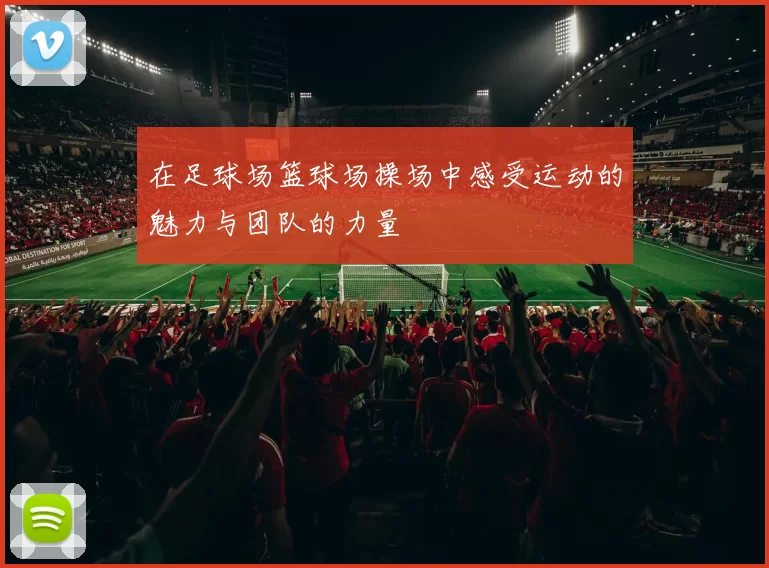 在足球场篮球场操场中感受运动的魅力与团队的力量